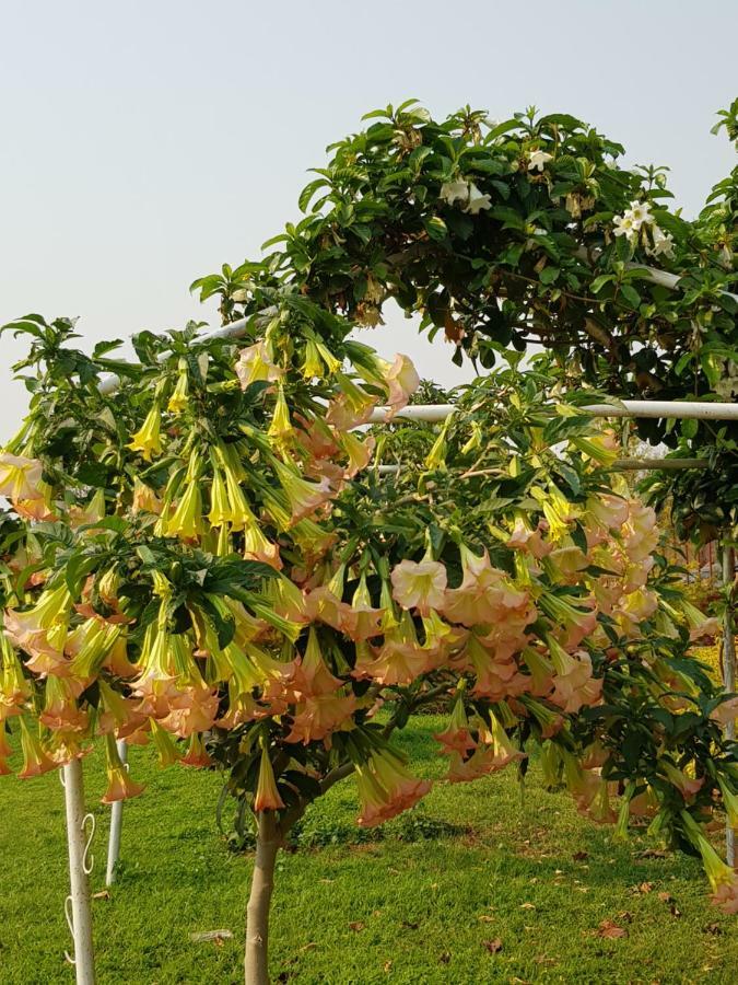 卢萨卡Summer Pines公寓 外观 照片